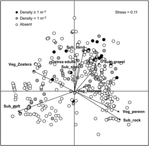 Optimal Substrate and Vegetation