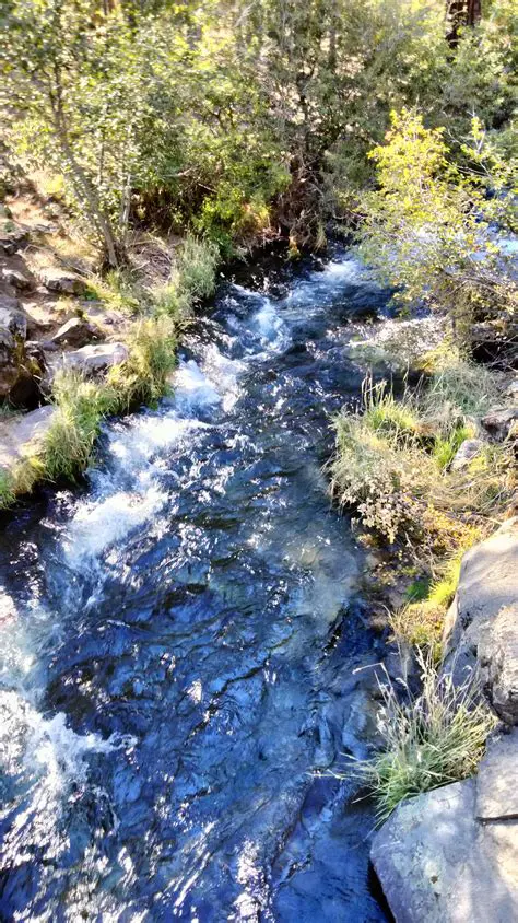 Discovering OSCSacramentoSC 2014SC: A Californian Gem in the Golden State