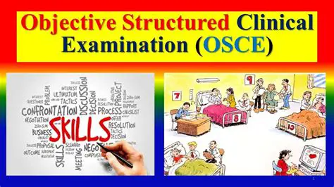 OSCE Executive Council: A Deep Dive into the Administrative Officer's Crucial Role