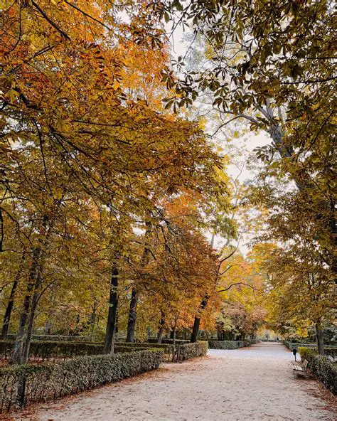 Unlocking the Secrets of 'osoctobersc weather madrid': Your Ultimate Guide to Autumn in the Spanish Capital