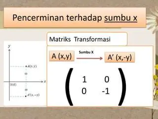 Pengenalan Refleksi Terhadap Sumbu X