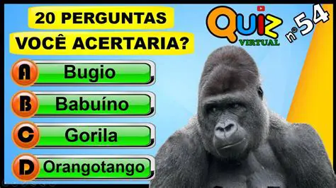 Perguntas e Respostas sobre a Incerteza nos Programas Esportivos