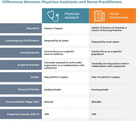 The Physician Assistant in the Netherlands: Understanding the `Betekenis` and Vital Role