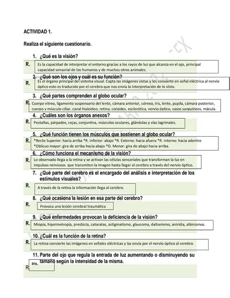 Preguntas y respuestas sobre verbos en diferentes formas