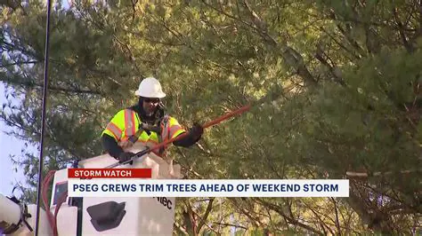 PSE&G Newport News and Weather Update: September Insights