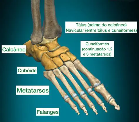 Relacionando a Segunda Coluna