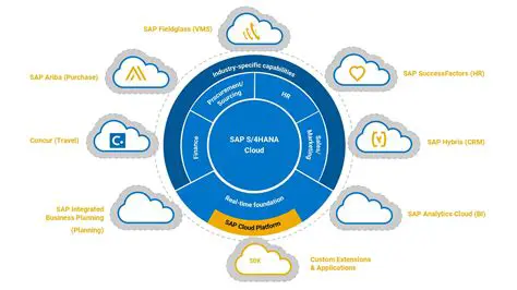 SAPS Editor Features and Benefits