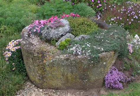Selection of suitable plants