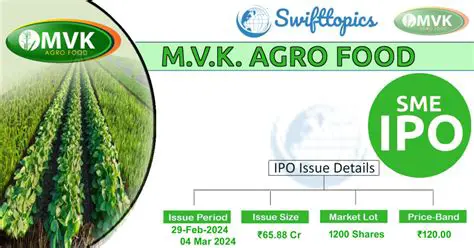 SKB Food IPO: Navigating the Path to Public Markets and What Investors Need to Know