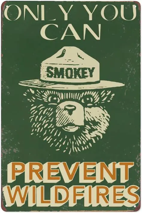Smokey Bear: An Enduring Symbol of Wildfire Prevention