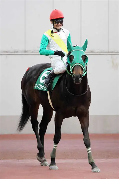 日本のデジタル変革を推進：総務省の最新動向と今後の展望