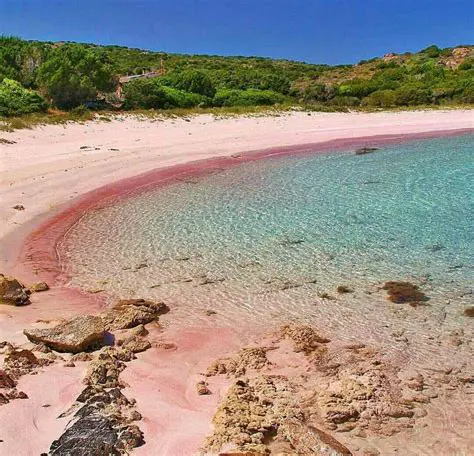 La Spiaggia Rosa di Budelli: Un Gioiello Inestimabile della Sardegna