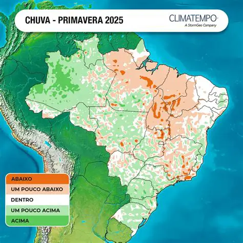 Tempo em Salvador: Previsão Climática Detalhada e Impactos na Cidade