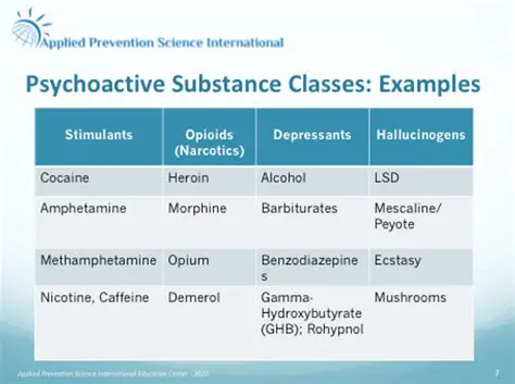 The Classification of Prescription Opiates