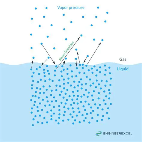 The Concept of Vapor Pressure