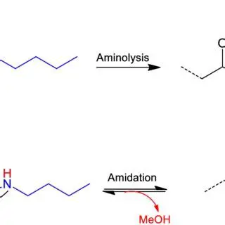 The Dodecilammine Amidation Reaction