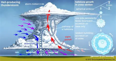 The Formation of Severe Weather Conditions