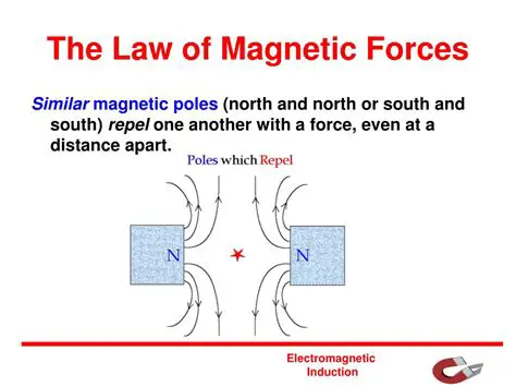 The Law of Magnetic Forces