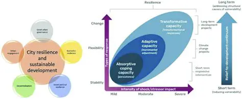 The Rise of Doukour: A New Paradigm for Integrated Digital Resilience and Sustainable Development