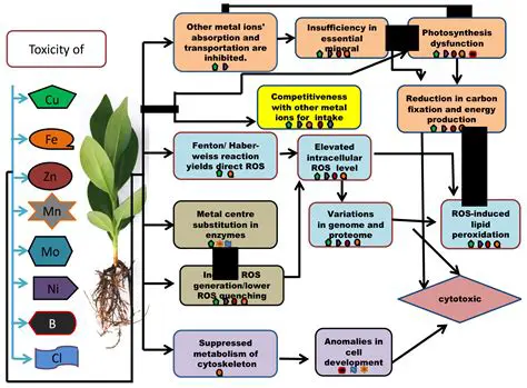 The Role of Fallen Leaves in Plant Nutrition