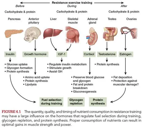 The Role of Hormones and Developmental Processes
