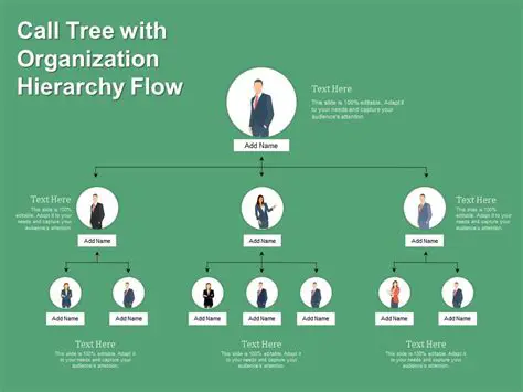 Tree Hierarchy Organization