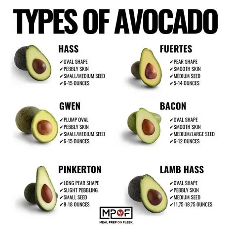 Types of Fat Tax Subject to