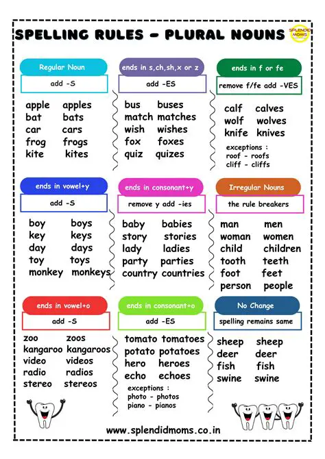 Understanding Plural Words in English
