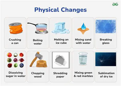 Understanding the Changes in Class 11
