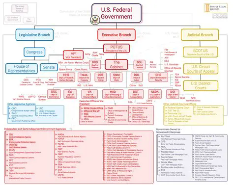 Understanding the Role of Elected Officials in the United States