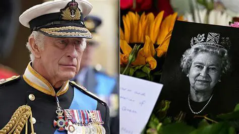 Unveiling the Enigma: A Deep Dive into the World of ksksksks