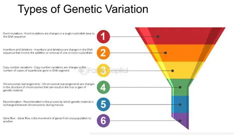 Variation of Stolon Sources