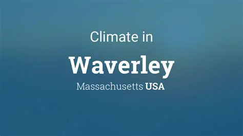 Waverley Weather: Your Ultimate Guide to Forecasts, Climate & Local Conditions
