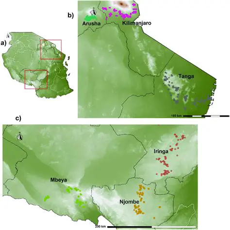 Weather Forecast Njombe 30 Days: Your Comprehensive Guide to Tanzania's Highland Climate