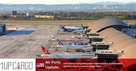 Wellington Airport: Your Gateway to Aotearoa New Zealand & Beyond