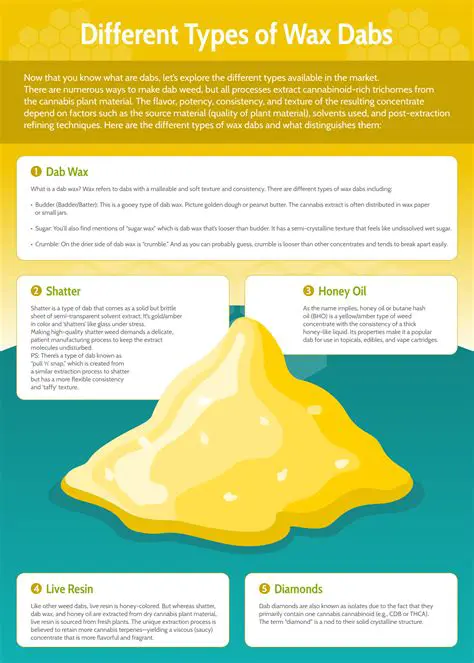 Unveiling the Meaning of DIRc: A Comprehensive Guide