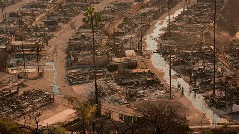 Breaking News: Wildfires Ravage Los Angeles - Latest Updates and Developments