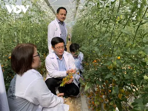 Xổ Số Đắk Lắk: Khám Phá Bí Ẩn, Tỷ Lệ Trúng Thưởng Và Cách Chơi Hiệu Quả