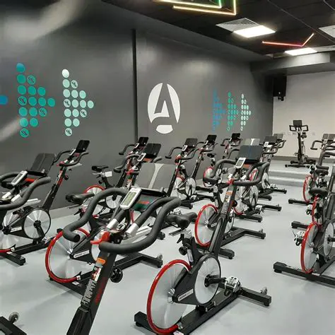 ziStadion Saint Helier Jersey: Unveiling the Future of Sports & Entertainment in the Channel Islands